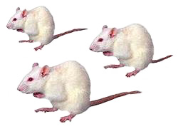 Facebook Lab Rats