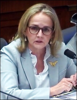 Congresswoman Madeleine Dean