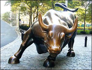 Wall Street Bull Statue in Lower Manhattan