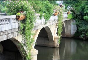 Flowering Bridge